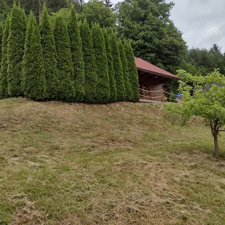 Chata Dvirka Zelezny Brod Esterno foto