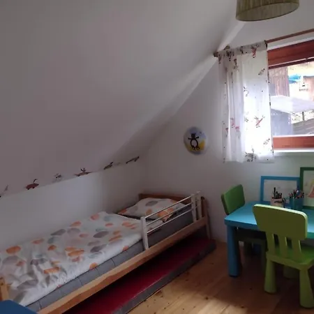 Chata Dvirka Zelezny Brod Esterno foto