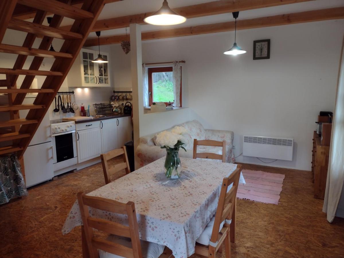 Dvirka Holiday home