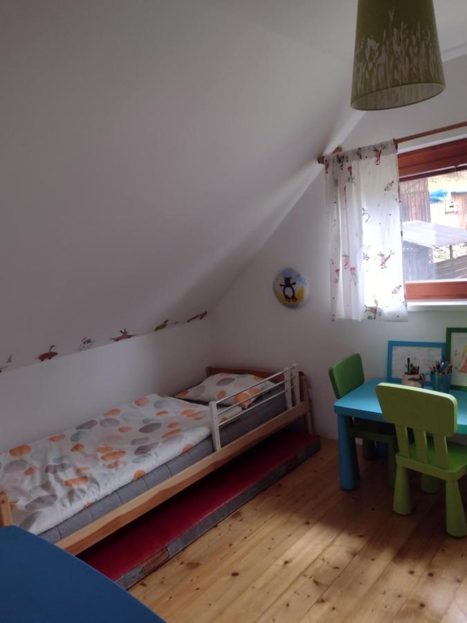 Dvirka Zelezny Brod
