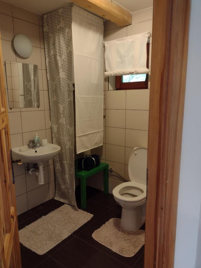 Dvirka Holiday home *