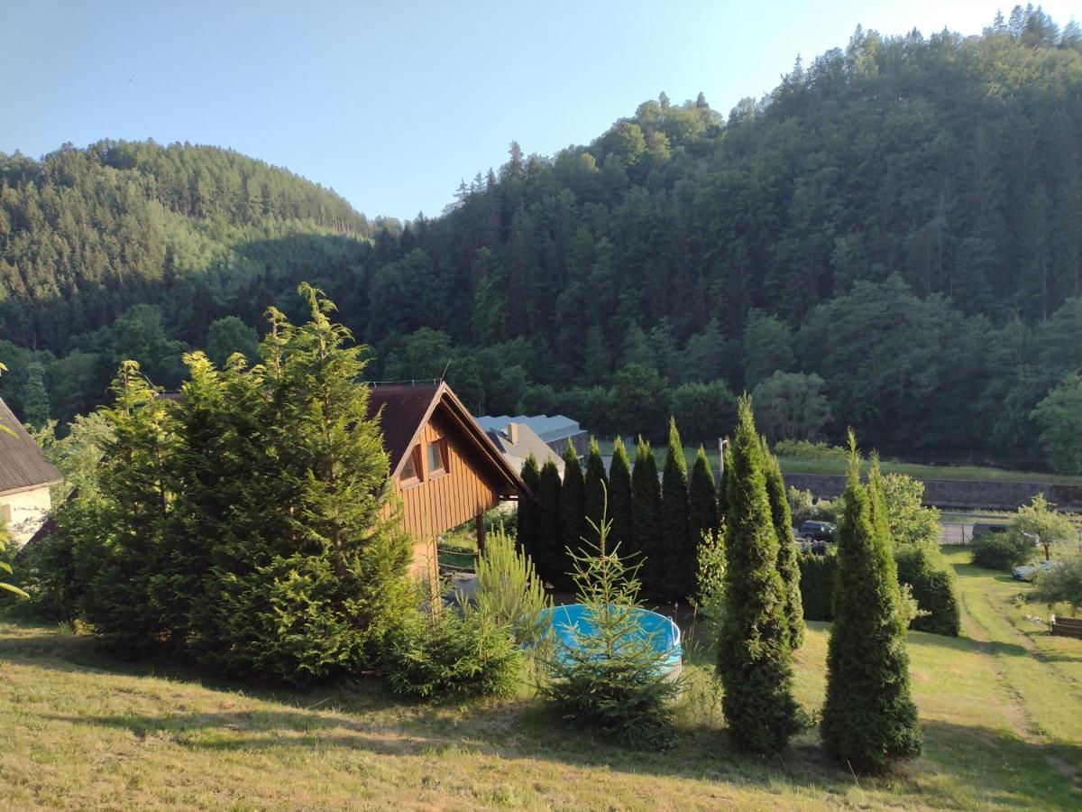 Dvirka Holiday home *