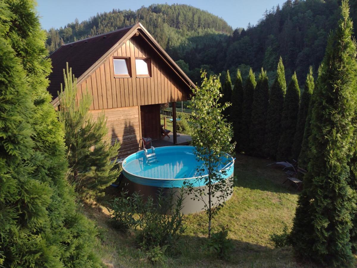 Dvirka Holiday home